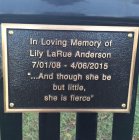 Photos of Lily LaRue Anderson